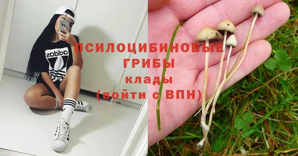 apvp Белокуриха