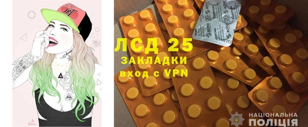 apvp Белокуриха