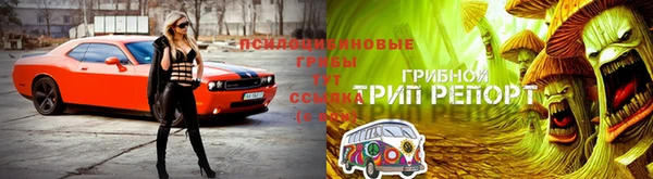 apvp Белокуриха