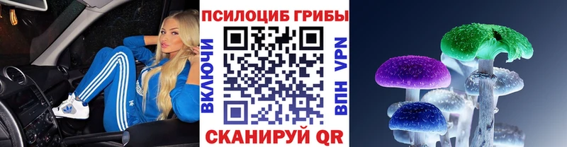 Купить закладки  Белая Калитва  Галлюциногенные грибы ЛСД 